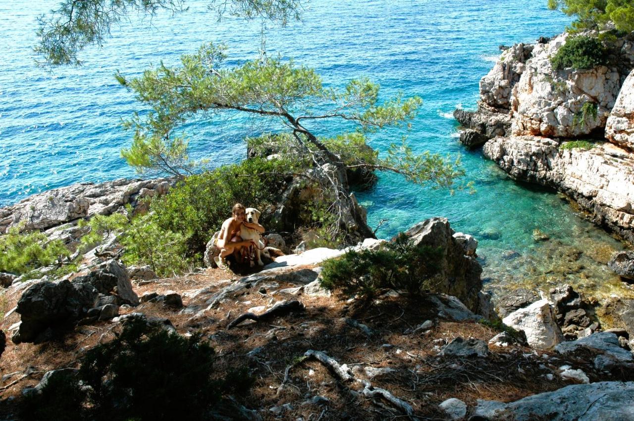 דירות וולה לוקה Casa Naranja Croatia מראה חיצוני תמונה